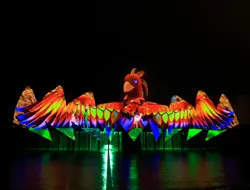 Wings of Time
